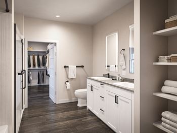 a bathroom with a sink and a toilet and a closet